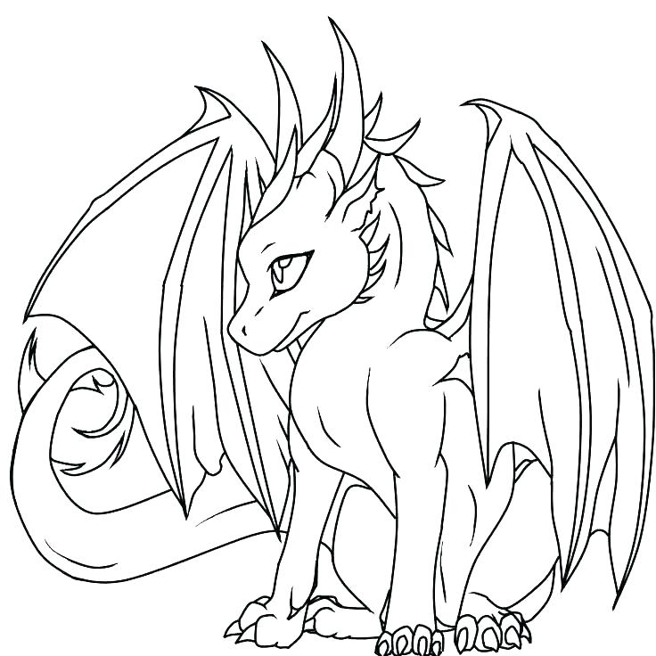736x736 Dragon Coloring Page