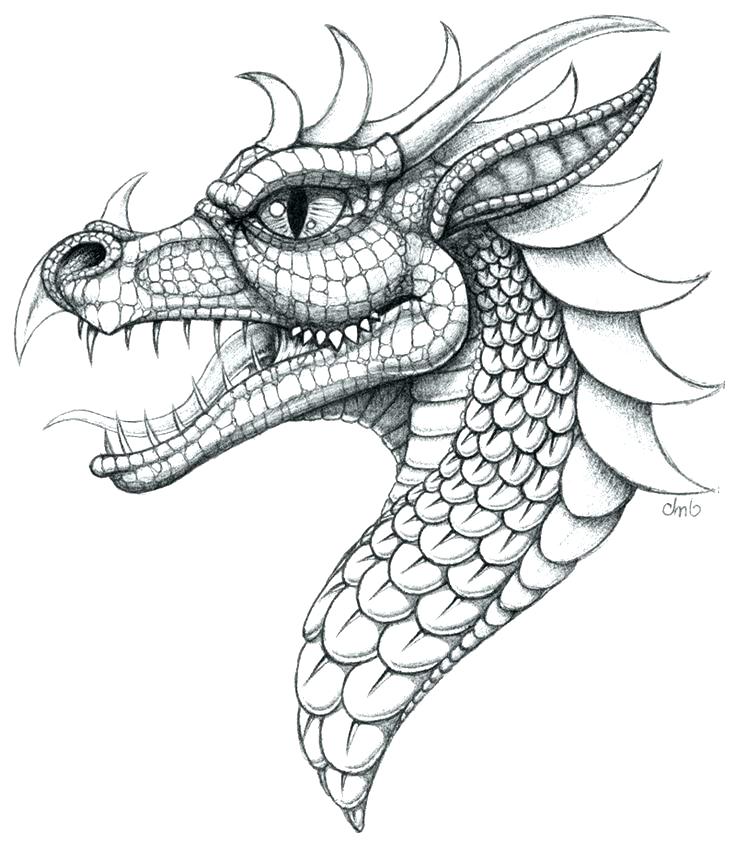 736x846 Dragon Head Coloring Page Dragon Head Coloring Page Chinese New