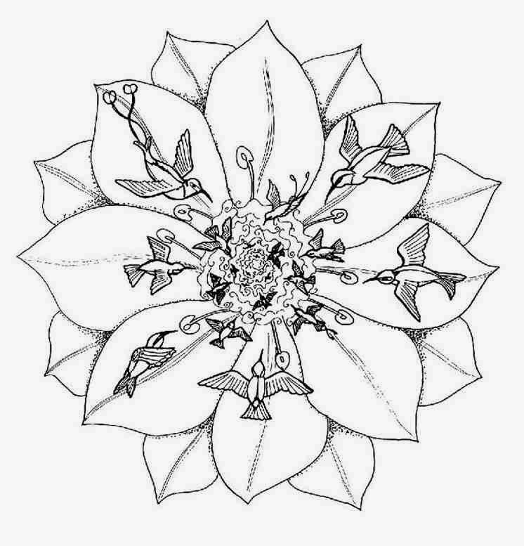 746x777 Animal Flying Collibri Mandala Coloring Pages