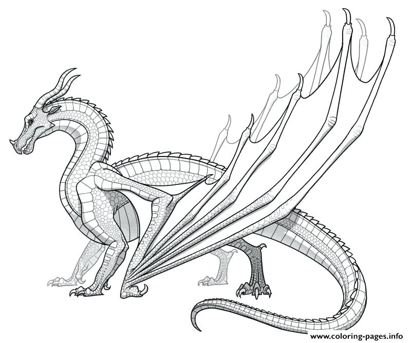 800x668 Realistic Dragon Coloring Pages