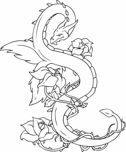 500x604 Free Printable Dragon Coloring Pages