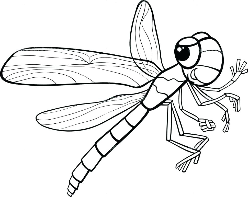 The best free Dragonfly coloring page images. Download from 206 free ...