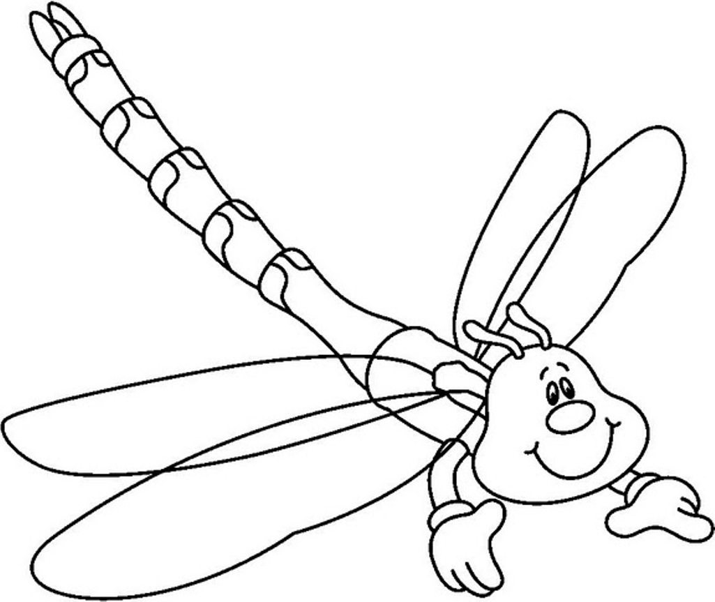 1025x863 Dragonfly Coloring Pages Free Animal Page For Beautiful Acpra
