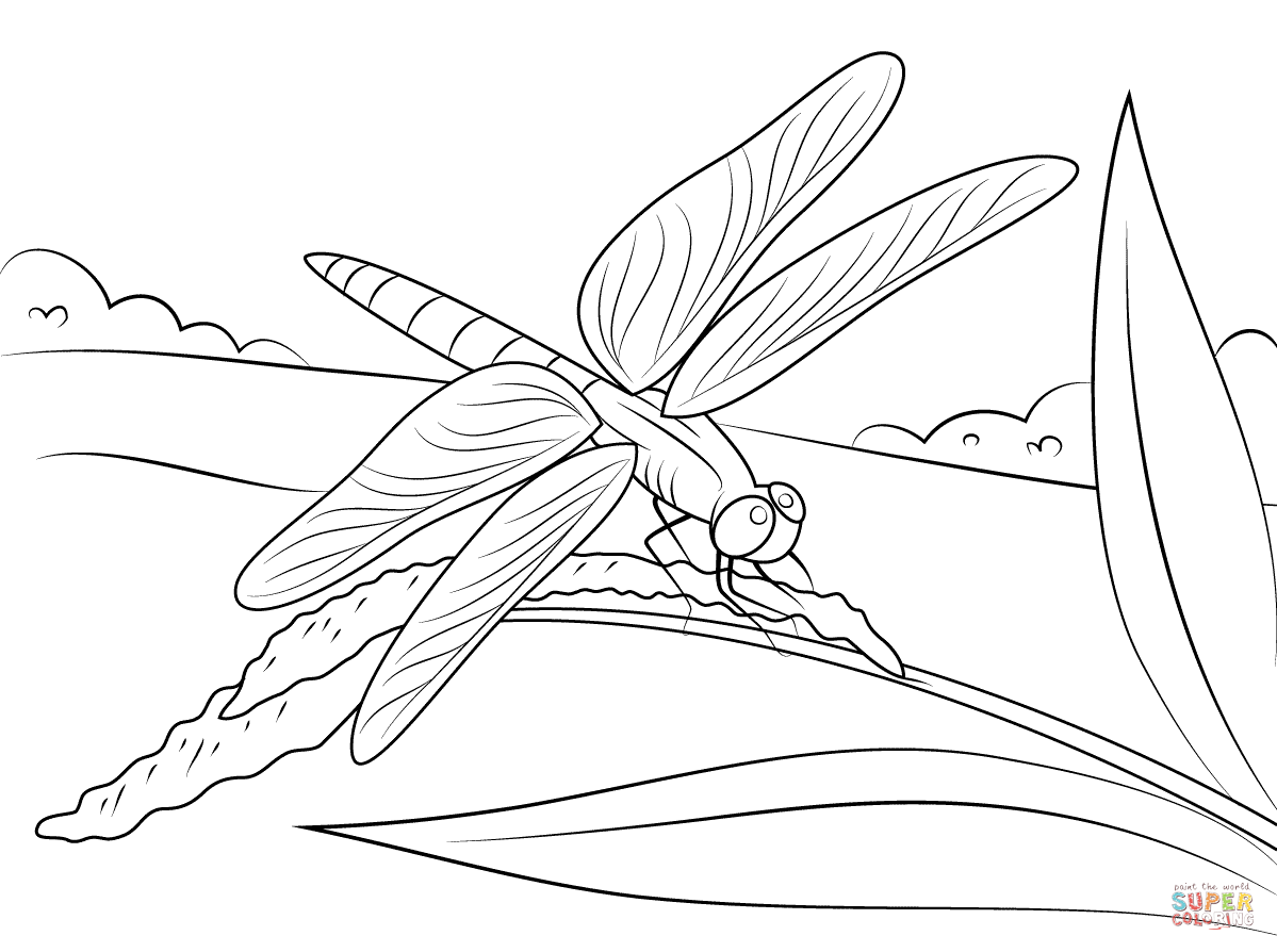 1199x894 Dragonfly Coloring Pages Free Coloring Pages Dragonfly Coloring