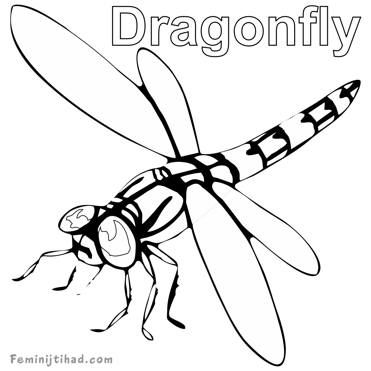 1575x1575 Dragonfly Coloring Page