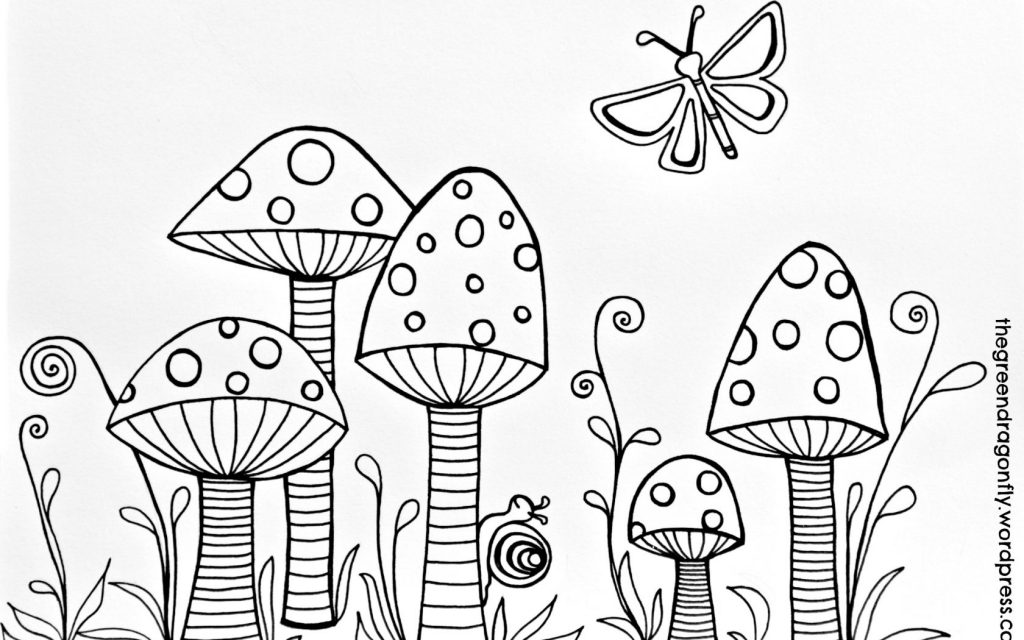 1024x640 Dragonfly Coloringge With Printableges Animals Of Photos Concept