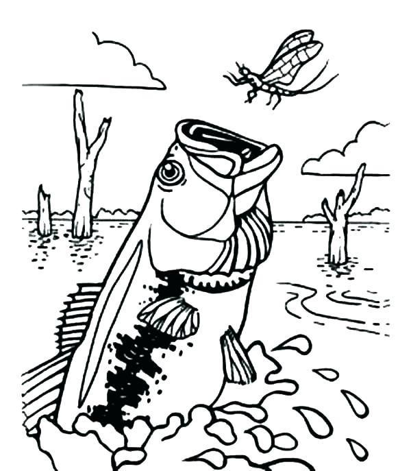 600x687 Fish Coloring Pages For Adults Fishing Coloring Pages Bass Fish
