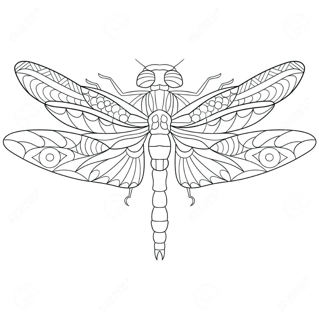 1024x1024 Coloring Pages Dragonfly Coloring Page Stylized Cartoon Insect