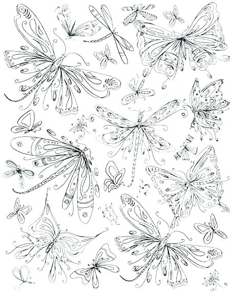 454x576 Dragonfly Coloring Page Elegant Dragon Fly Coloring Page