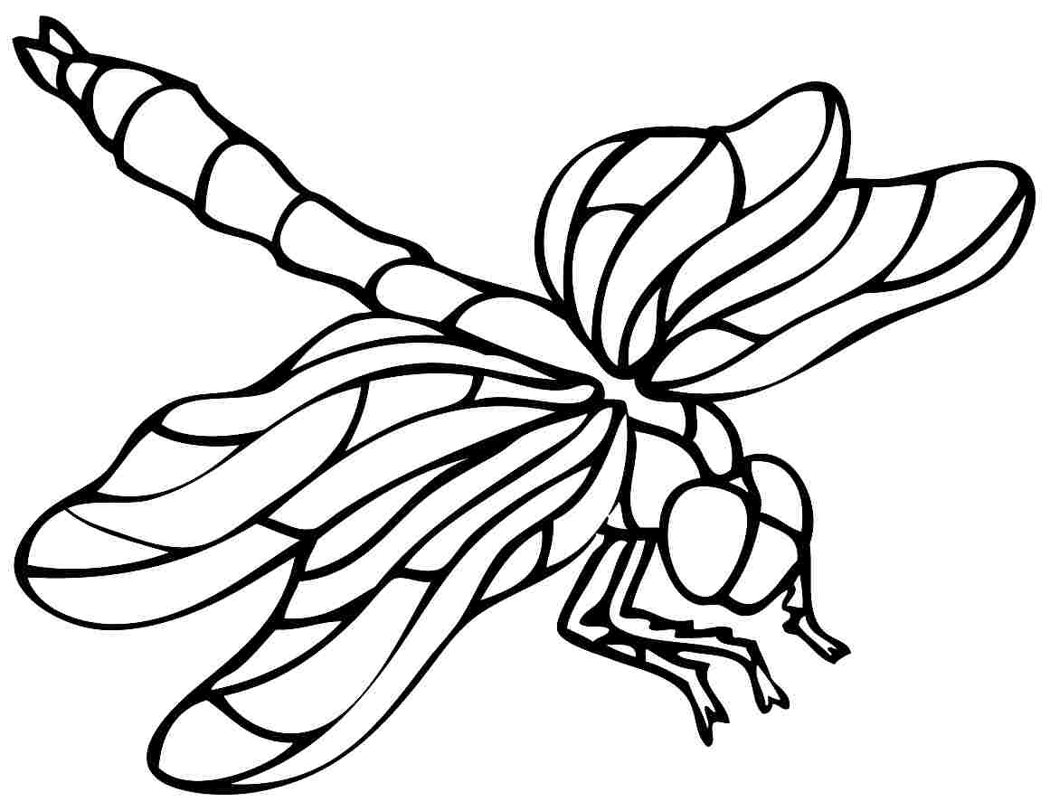 1161x897 Printable Dragonfly Coloring Pages