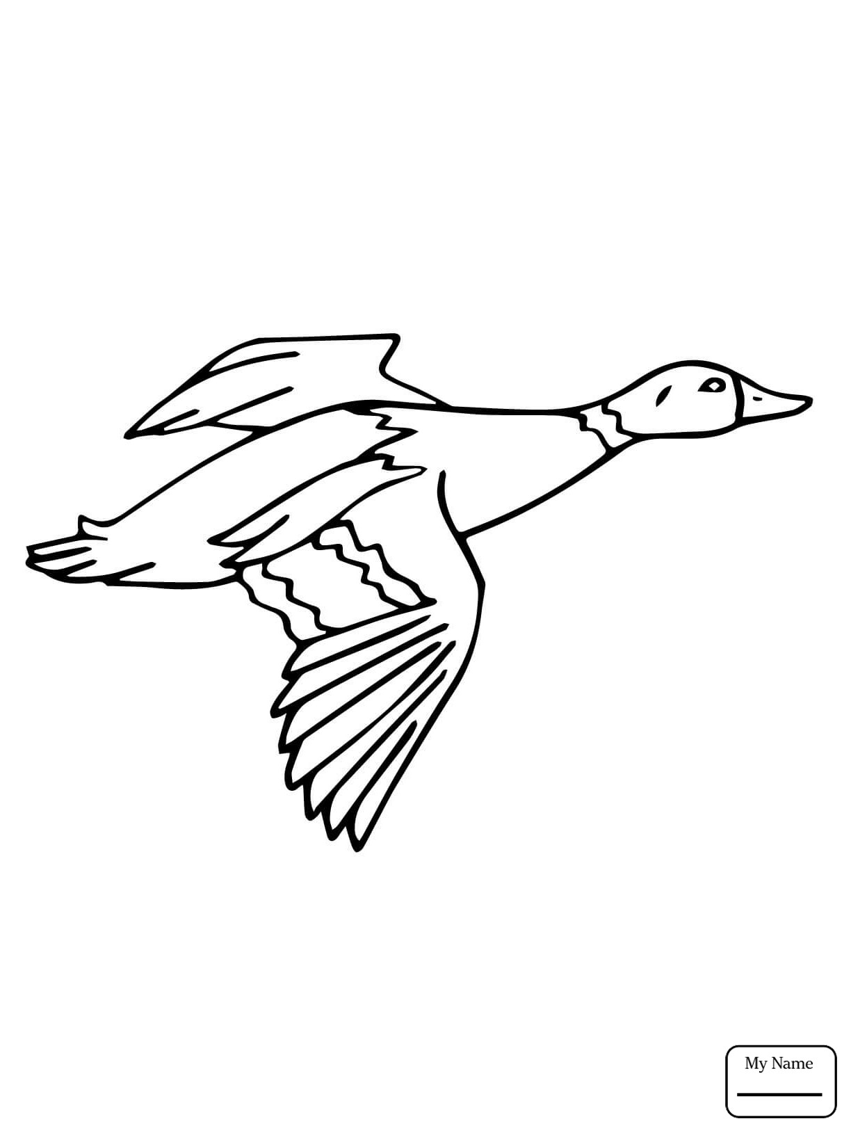1224x1632 Drake Coloring Pages Coloring Pages Fancy Page Fiscalreform