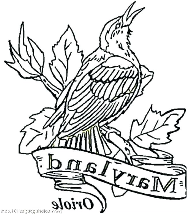 650x745 Drake Coloring Pages Orioles Coloring Pages Coloring Pages