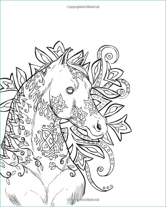 564x703 Dressage Horse Animal Coloring Pages