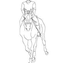 220x220 Horse Training Coloring Pages