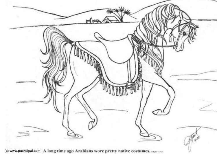 750x531 Coloring Page Dressage