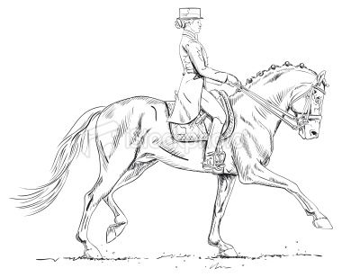 380x308 Hand Drawn Vector Illustration Of Dressage Horse And Female Rider