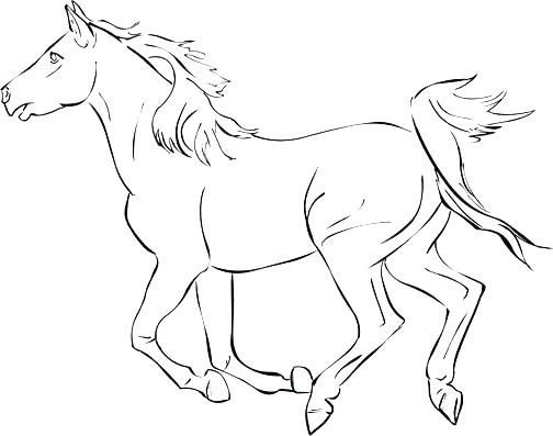 504x397 Horses Coloring Pages Coloring Page Of Horse Horse Color Pages