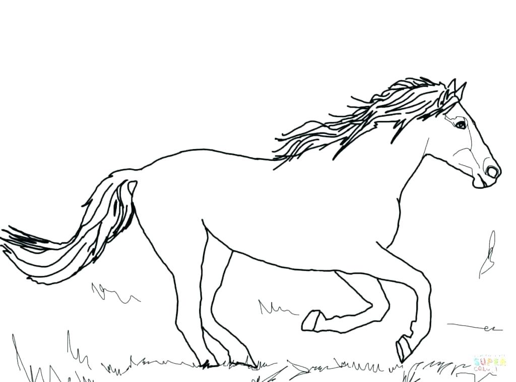 1024x759 Horses Coloring Pages Free Printable Horse Coloring Pages Horses