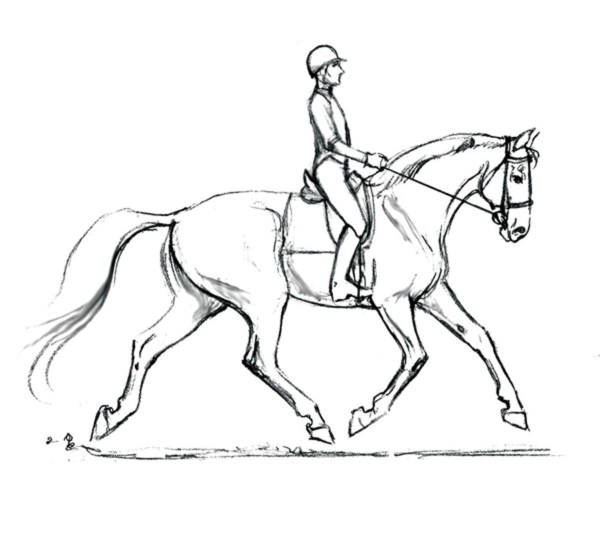 1200x1112 Optimizing Your Dressage Horse's Soundness From The Saddle