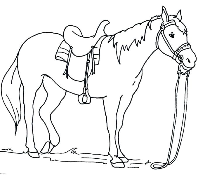 Dressage Horse Coloring Pages at GetDrawings | Free download