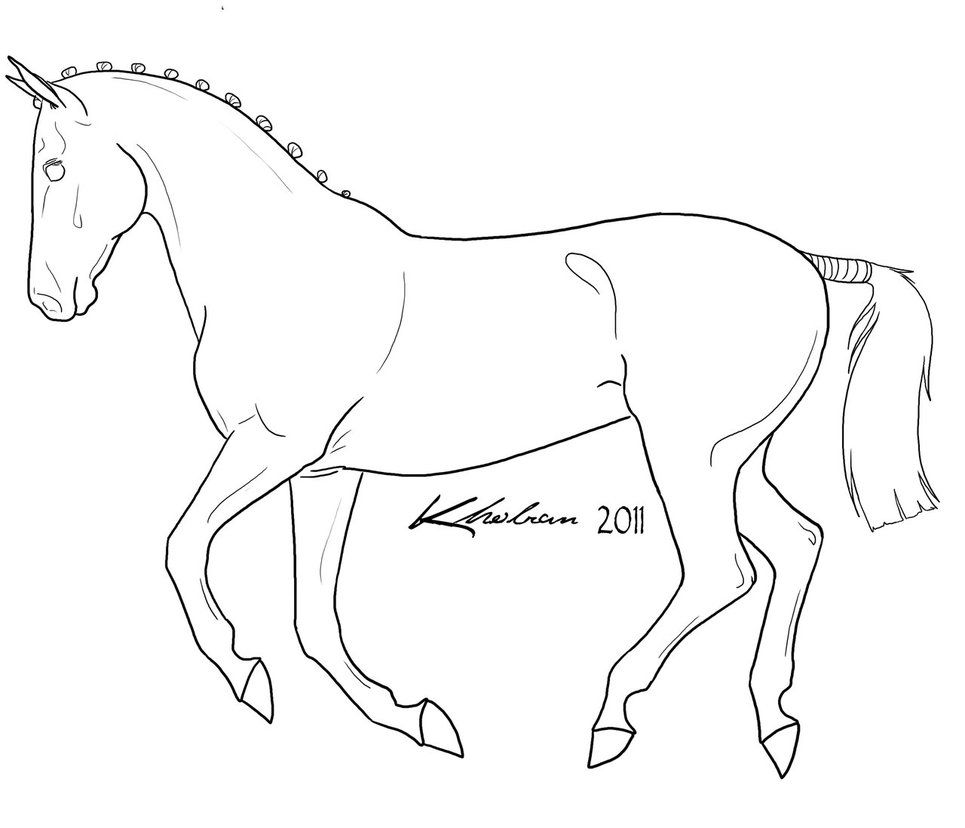 965x828 Canter Lineart