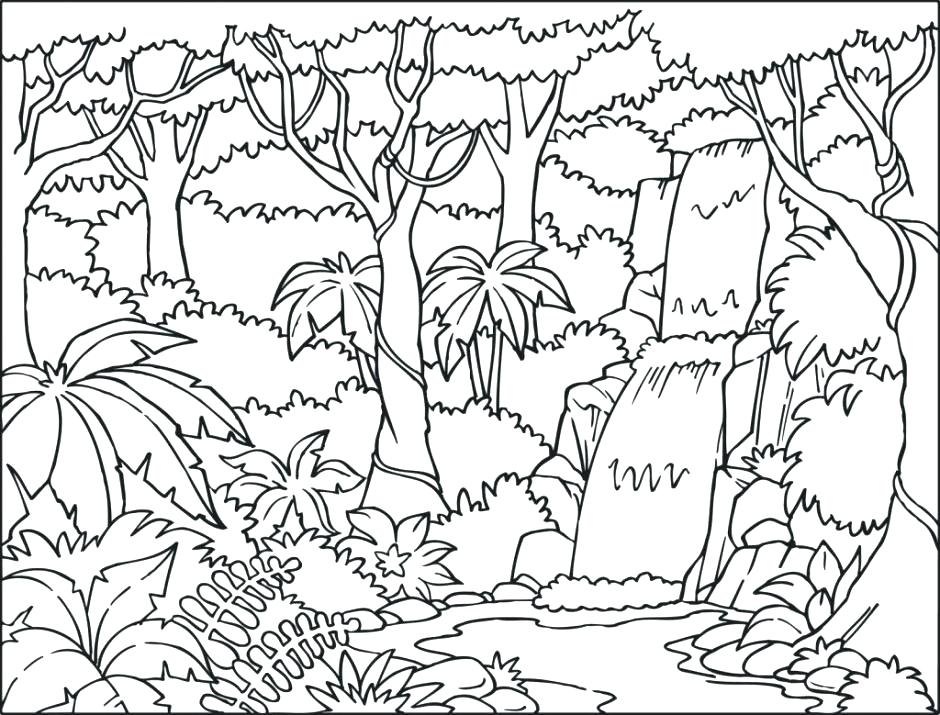 940x715 Ocean Habitat Coloring Pages Drinking Water Coloring Pages