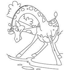 230x230 Top Free Printable Giraffe Coloring Pages Online