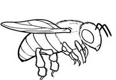 236x164 Bee Coloring Pages Bee Embroidery Patterns Bees