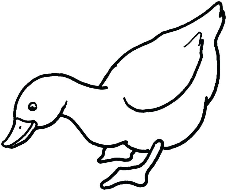 736x620 Duck Color Page Ducks Coloring Pages Coloring Pages Ducks Duck