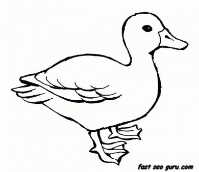 390x338 Printable Animal Duck Coloring Pages