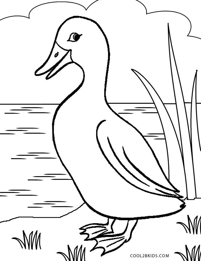 650x843 Printable Duck Coloring Pages For Kids
