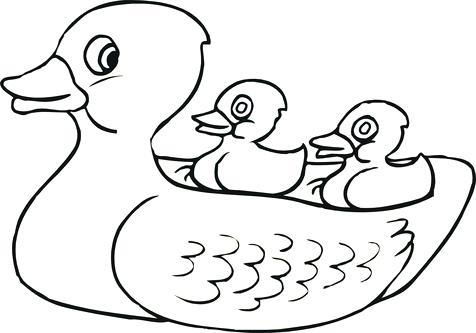 476x333 Rubber Duck Coloring Page Archive Page In Tag Converting Users