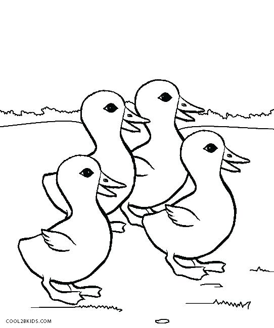 542x650 Pond Animals Coloring Pages Devon Creamteas