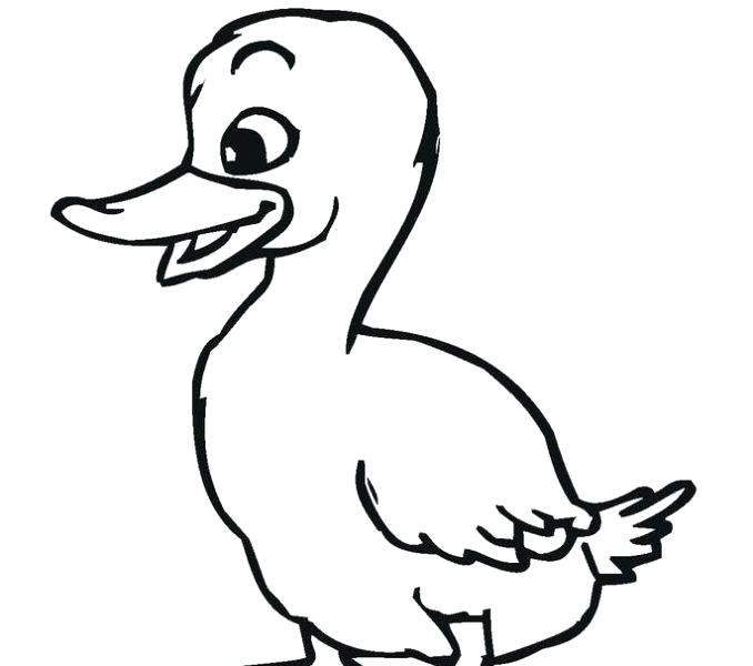 Duck Coloring Pages For Kids at GetDrawings | Free download