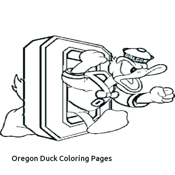 600x600 Pig Hunting Coloring Pages Kids Coloring Duck Hunting Coloring
