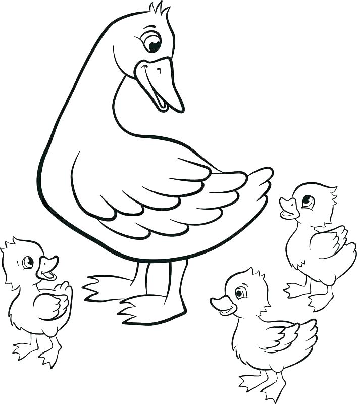 707x800 Coloring Picture Of Duck Duck Hunting Coloring Pages Duck Hunting