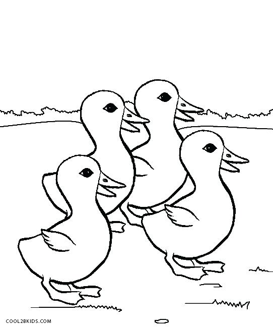 542x650 Duck Color Page Duck Coloring Page Donald Duck Printable Colouring