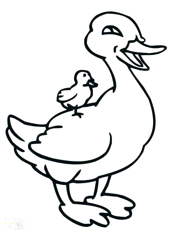 Duckling Coloring Page at GetDrawings | Free download