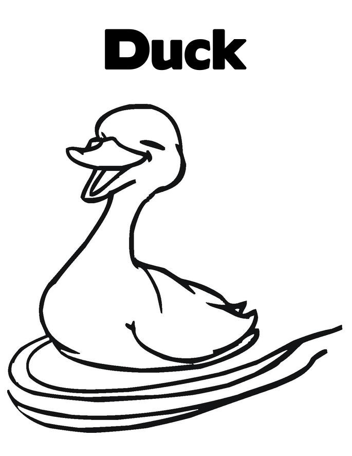 685x886 Free Printable Duck Coloring Pages For Kids