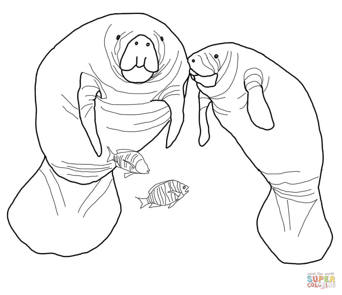 1160x1000 Manatee Coloring Page