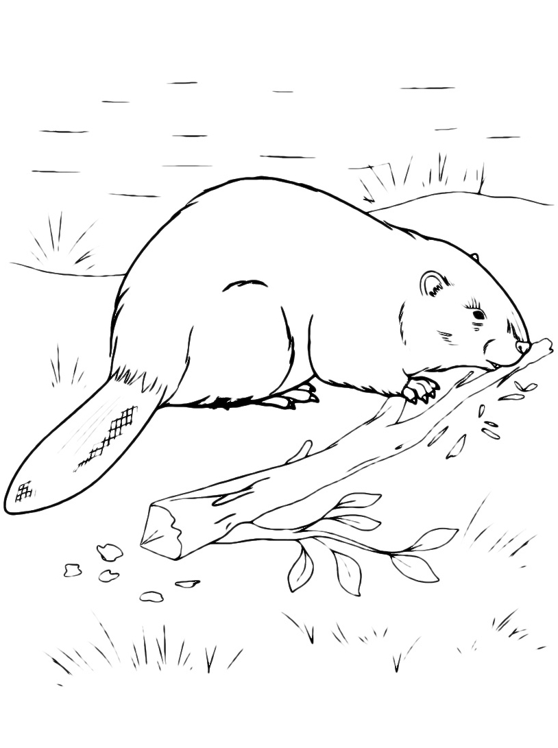 814x1091 Skull Coloring Pages Collections Free Coloring Pages