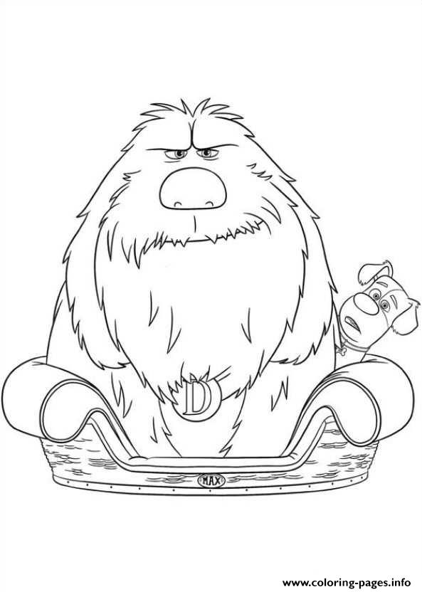 593x832 Duke In Max Bed Secret Life Of Pets Coloring Pages Printable