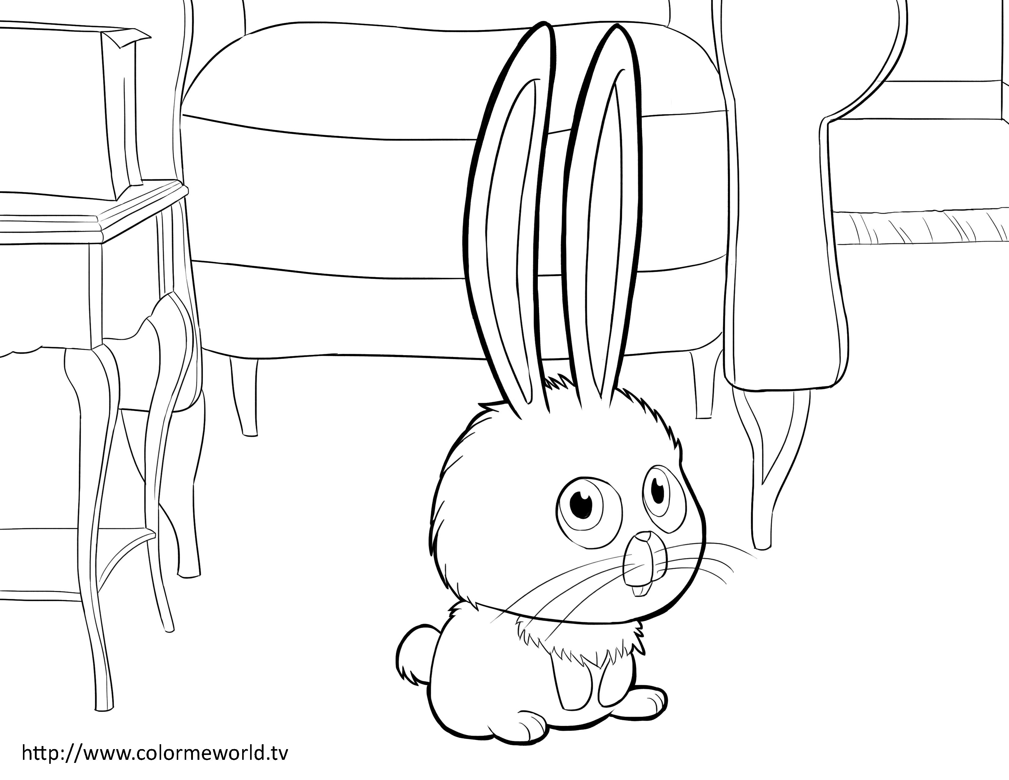 3300x2550 Modern Ideas Secret Life Of Pets Coloring Pages Duke