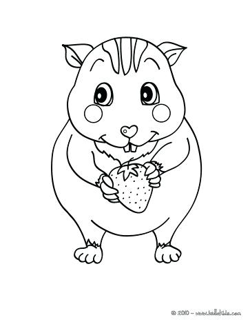 363x470 Hamster Coloring Page