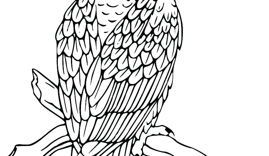 940x544 Coloring Pages Eagle Harpy Eagle Coloring Page Eagle Coloring Page
