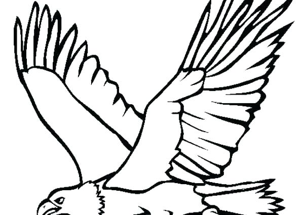 600x425 Eagle Coloring Page Great Flying Bald Eagle Coloring Page Harpy