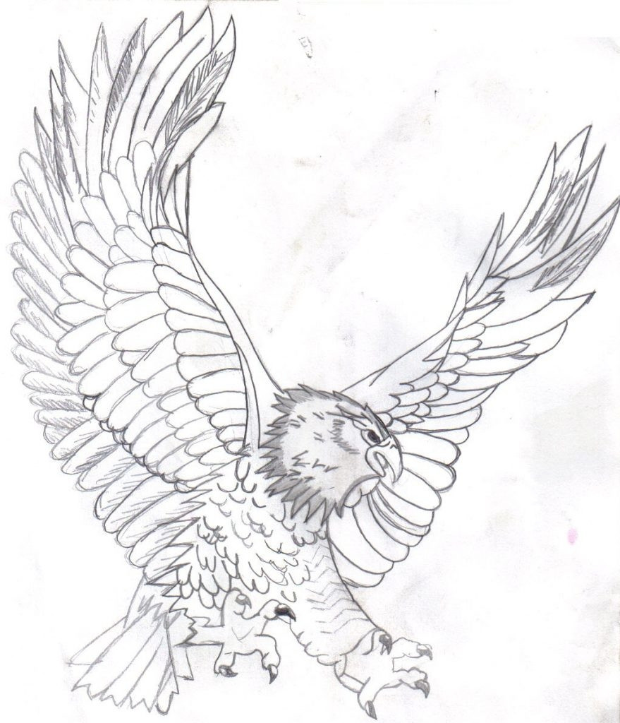 879x1024 Bald Eagle Coloring Page Compilation Free Coloring Pages Bright