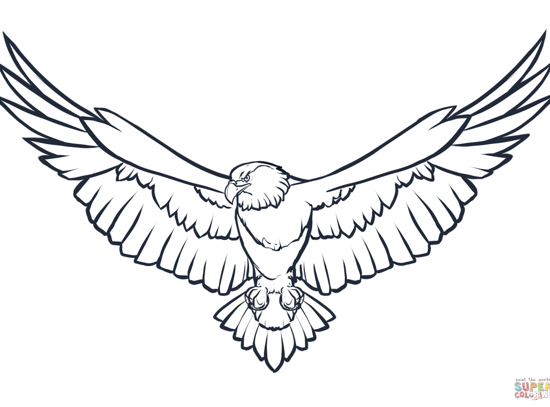 1080x800 Free Eagle Head Coloring Page Realistic Printable Animals Mandala