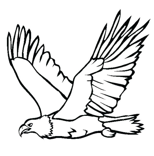 600x610 Philadelphia Eagles Coloring Pages Eagles Coloring Pages Eagles
