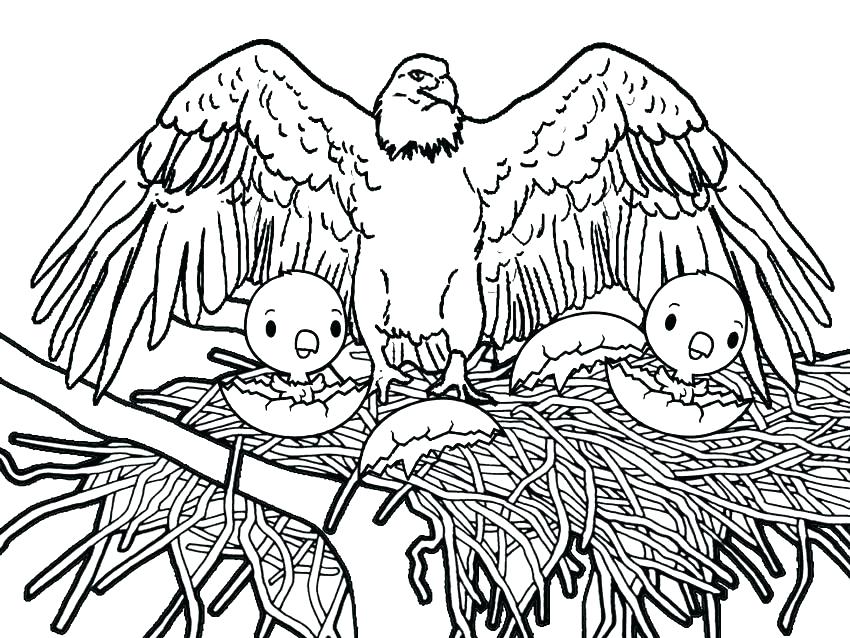 850x638 Eagle Coloring Pages Eagle Color Page Eagle Coloring Pages Me